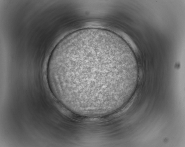 X0000102281435200808221253