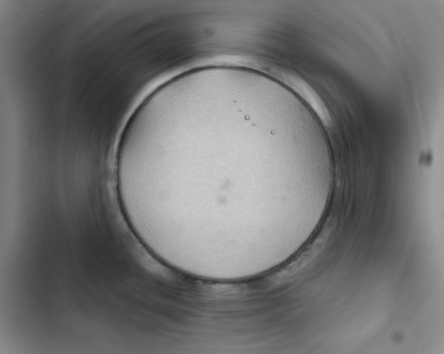 X0000102281436200808221253