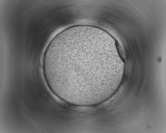 X0000102281437200808221253