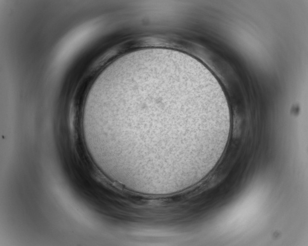 X0000102281438200808221253