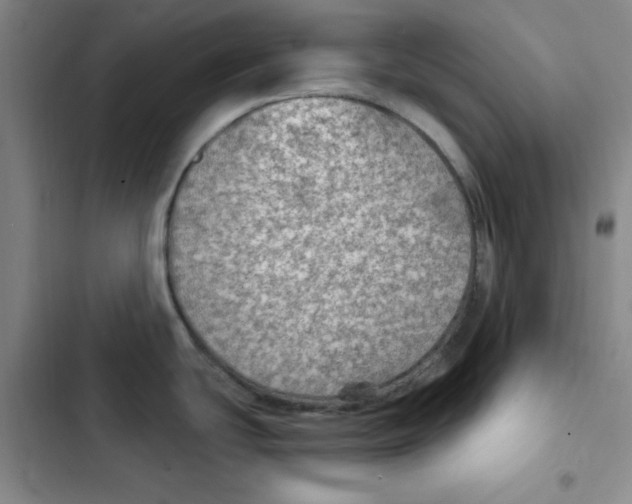 X0000102281439200808221253