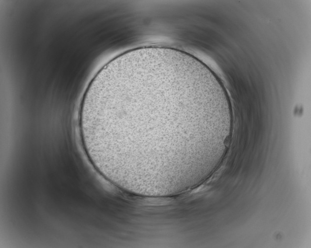 X0000102281440200808221253