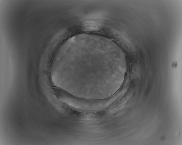 X0000102281441200808221253