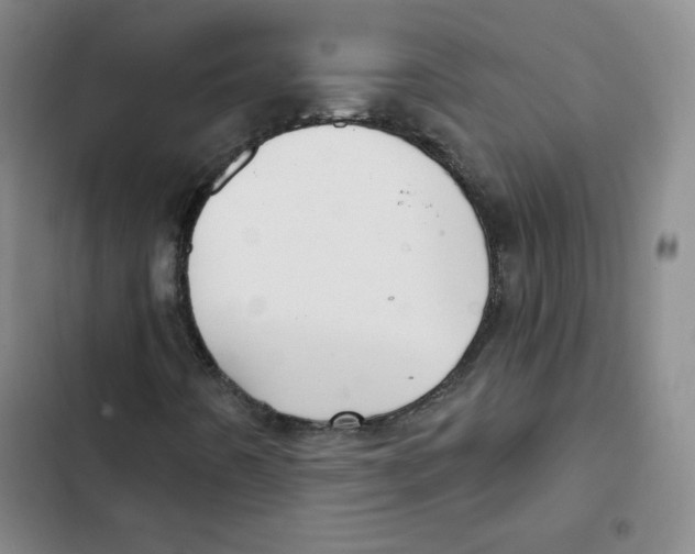 X0000102281442200808221253