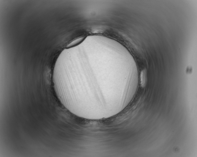 X0000102281443200808221253