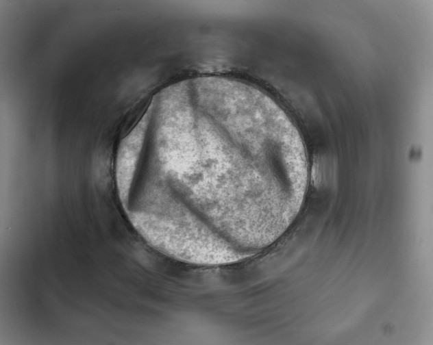X0000102281444200808221253