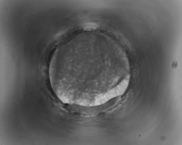 X0000102281445200808221253