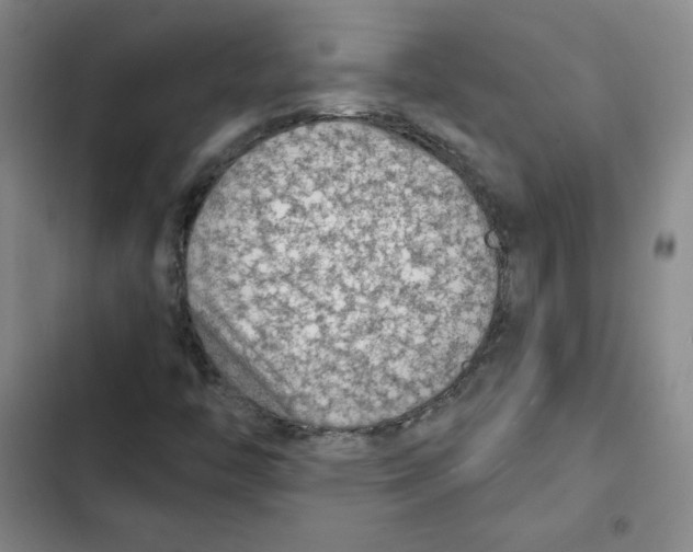 X0000102281446200808221253