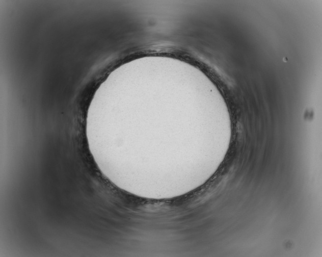 X0000102281447200808221253