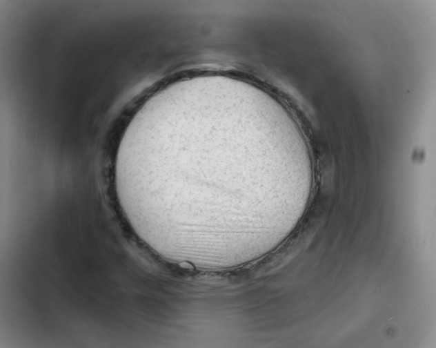 X0000102281448200808221253