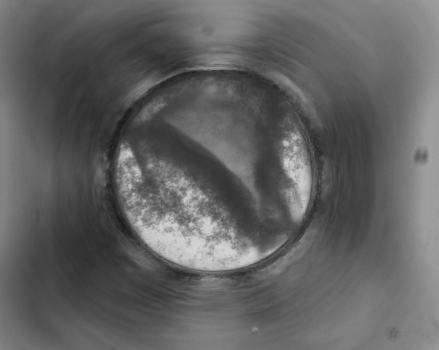 X0000102281449200808221253