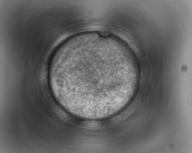 X0000102281450200808221253