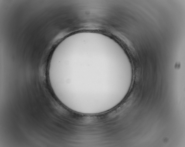 X0000102281451200808221253