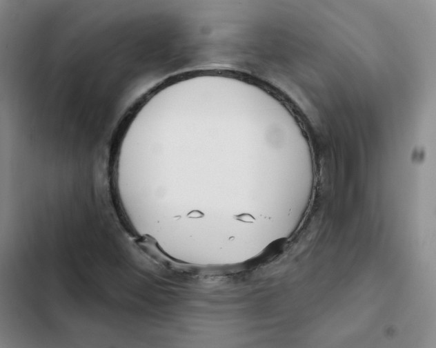 X0000102281452200808221252