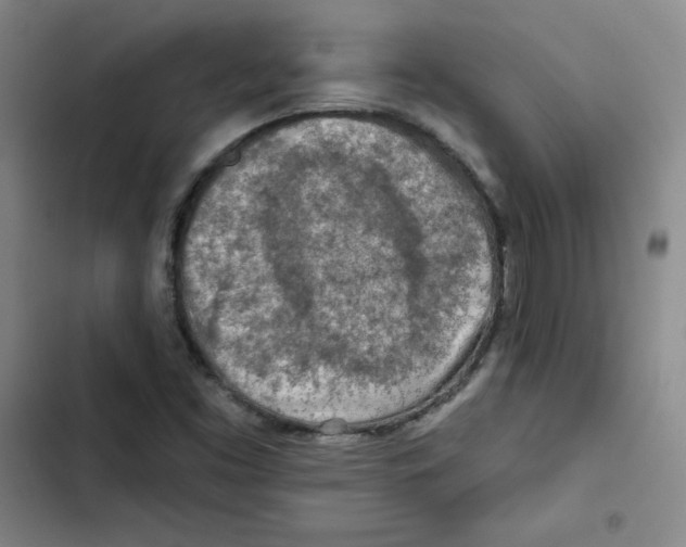 X0000102281453200808221252