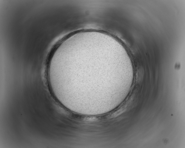 X0000102281454200808221252