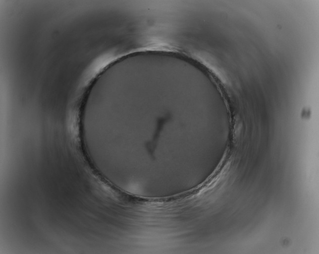 X0000102281455200808221252