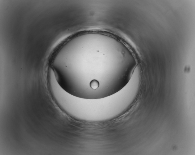 X0000102281456200808221252