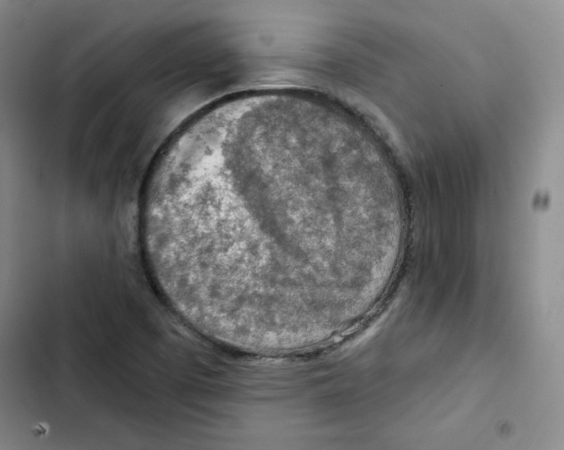 X0000102281457200808221252
