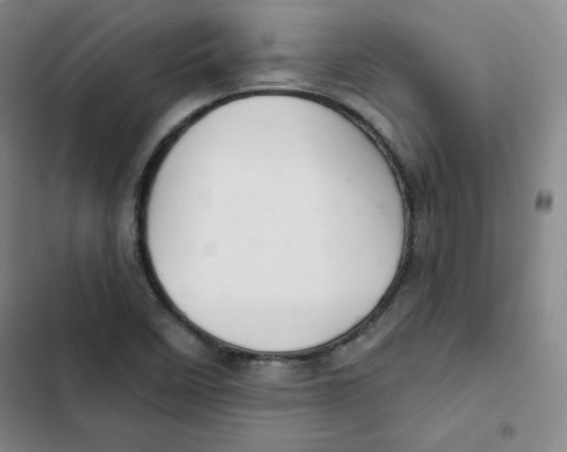 X0000102281458200808221252