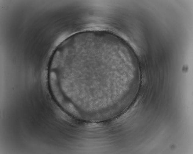 X0000102281459200808221252
