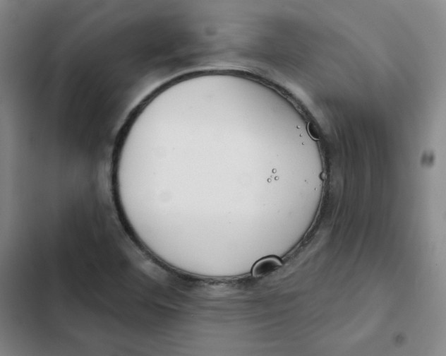 X0000102281460200808221252