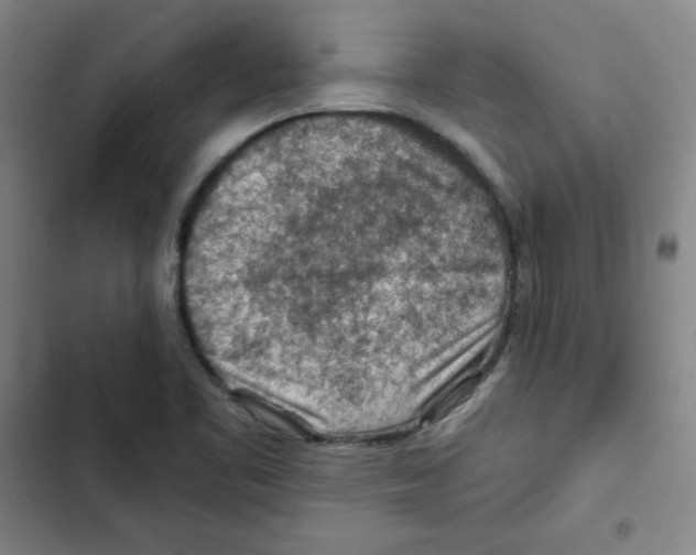 X0000102281461200808221252