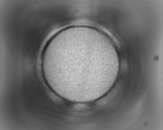 X0000102281462200808221252