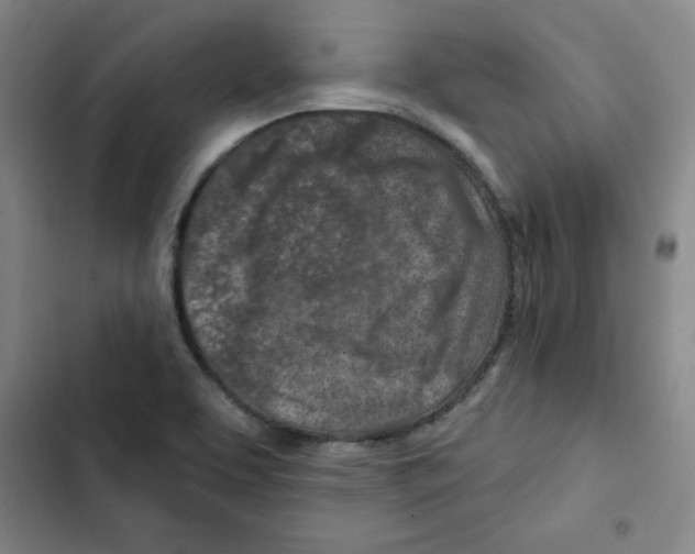 X0000102281463200808221252