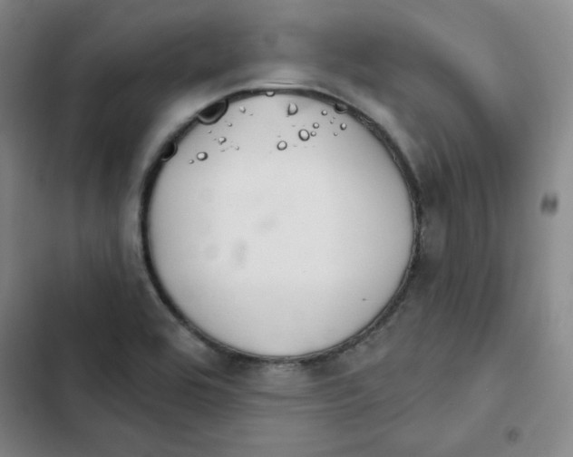 X0000102281464200808221252