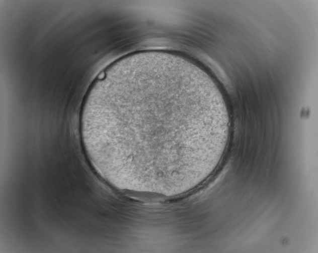 X0000102281465200808221252