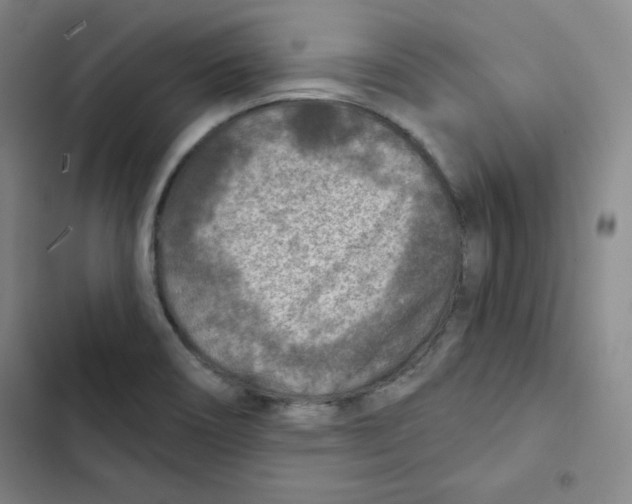 X0000102281466200808221252