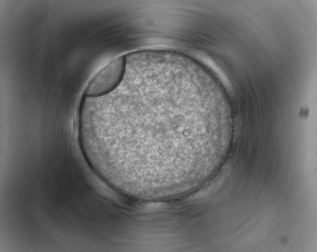 X0000102281467200808221252