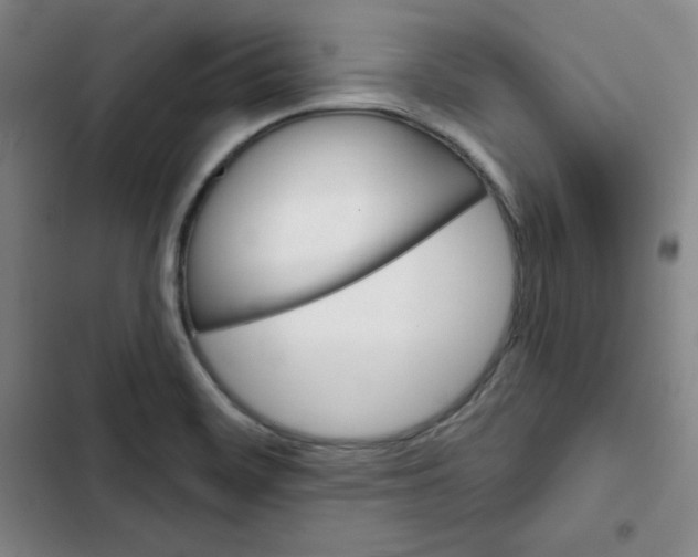 X0000102281468200808221252