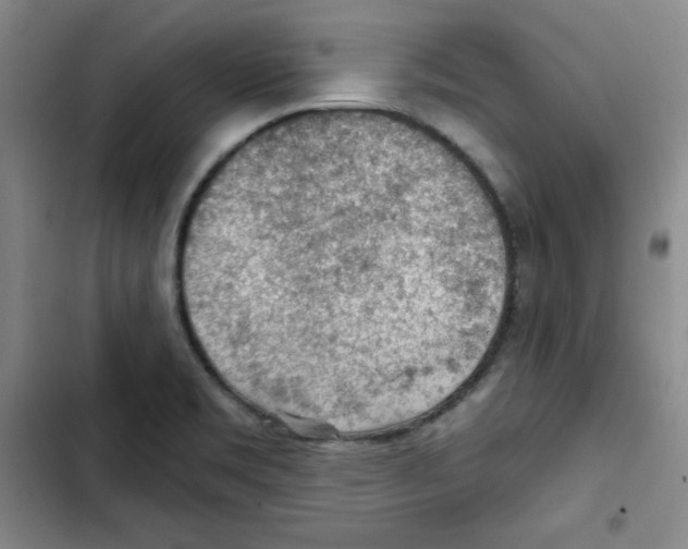 X0000102281469200808221252