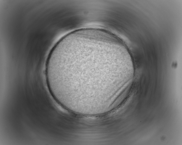 X0000102281470200808221252