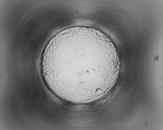 X0000102281471200808221252