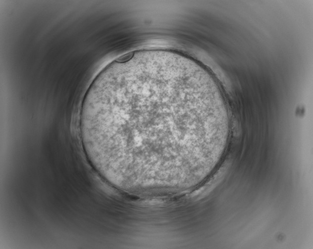 X0000102281473200808221252