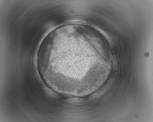 X0000102281474200808221252
