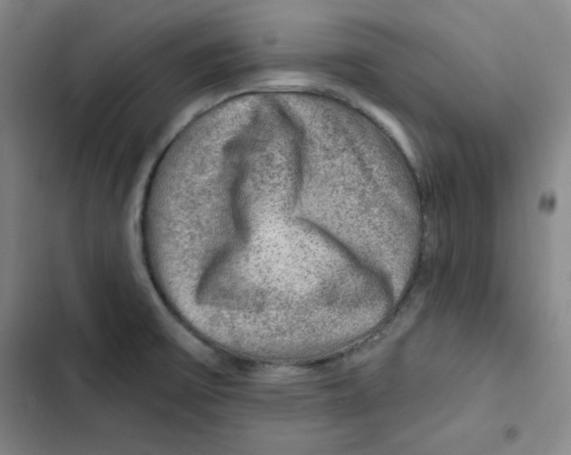 X0000102281475200808221252