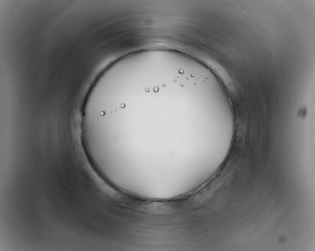 X0000102281476200808221252