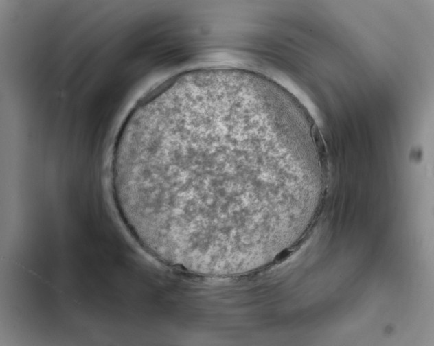 X0000102281477200808221252