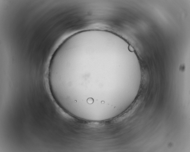 X0000102281478200808221252