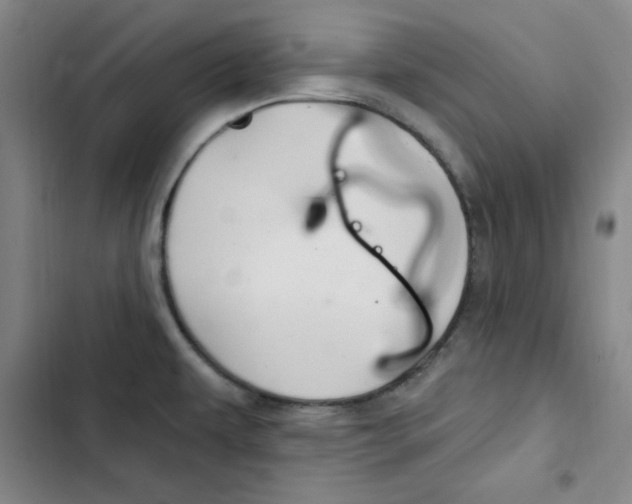 X0000102281479200808221252