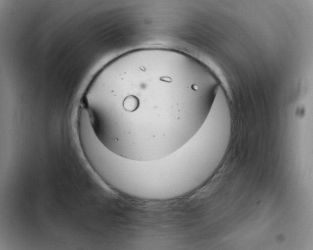 X0000102281480200808221252