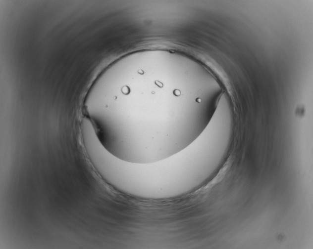X0000102281481200808221252