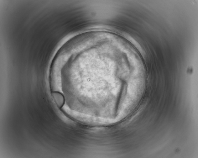 X0000102281482200808221252