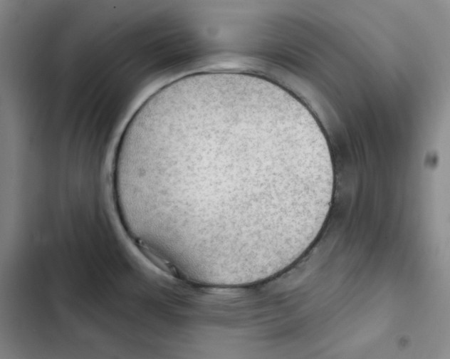 X0000102281483200808221252