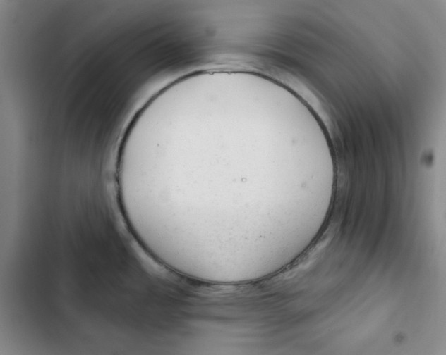 X0000102281485200808221252