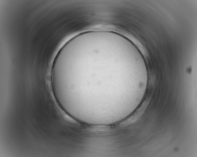 X0000102281486200808221252